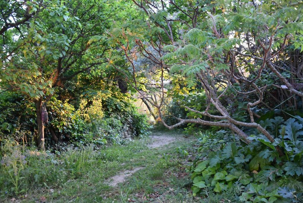 Ferienhaus La Petite Maison Des Artistes Séguret