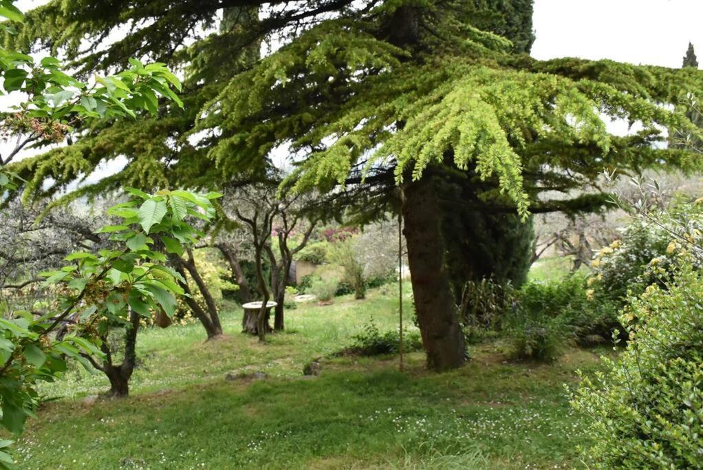 La Petite Maison Des Artistes Ferienhaus Séguret